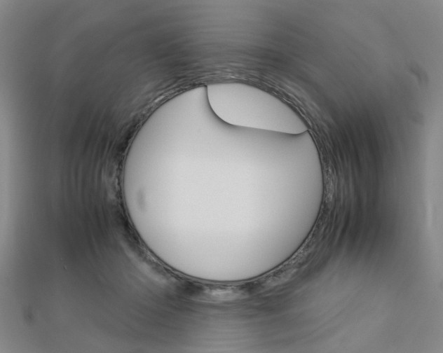 X0000112730414200908201017