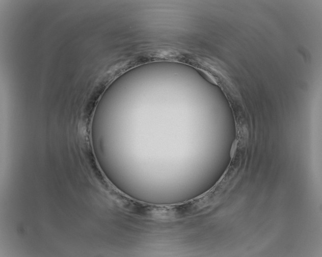 X0000112730415200908201017