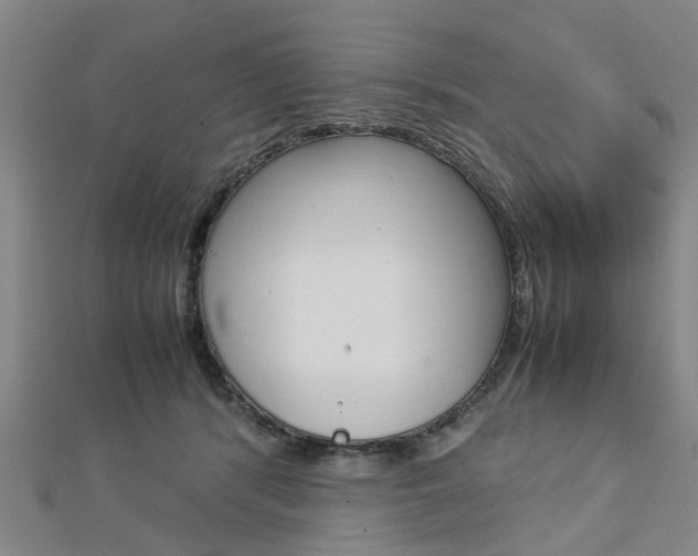 X0000112730416200908201017