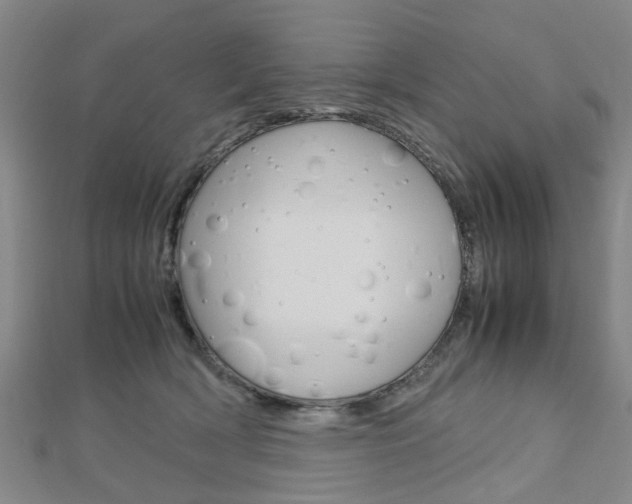 X0000112730418200908201017