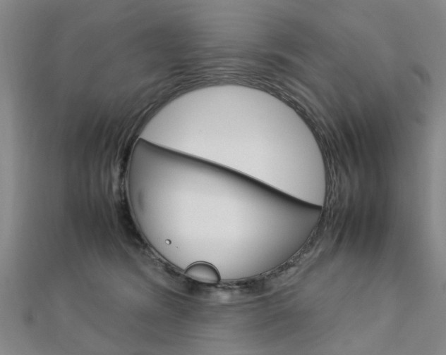 X0000112730420200908201017