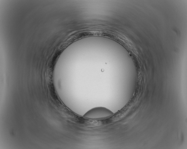 X0000112730421200908201017
