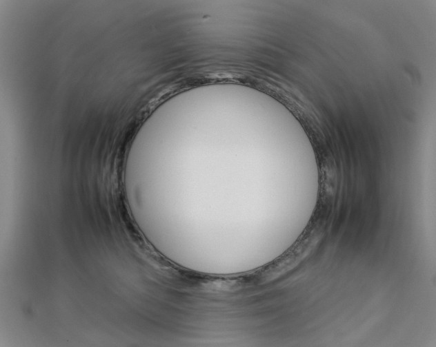 X0000112730422200908201017