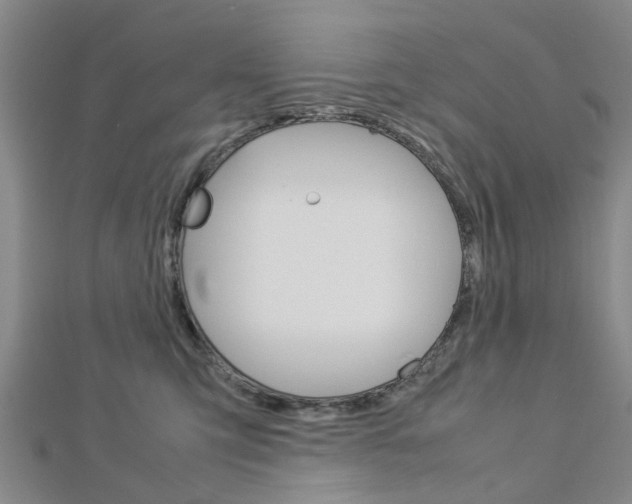 X0000112730423200908201017