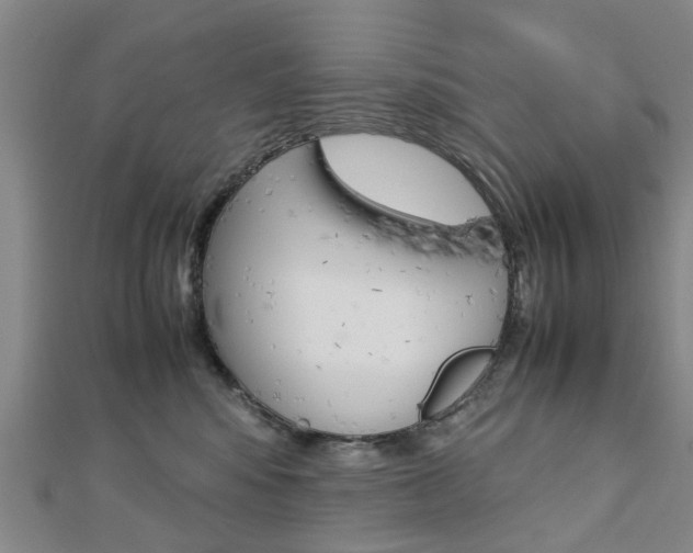 X0000112730424200908201017