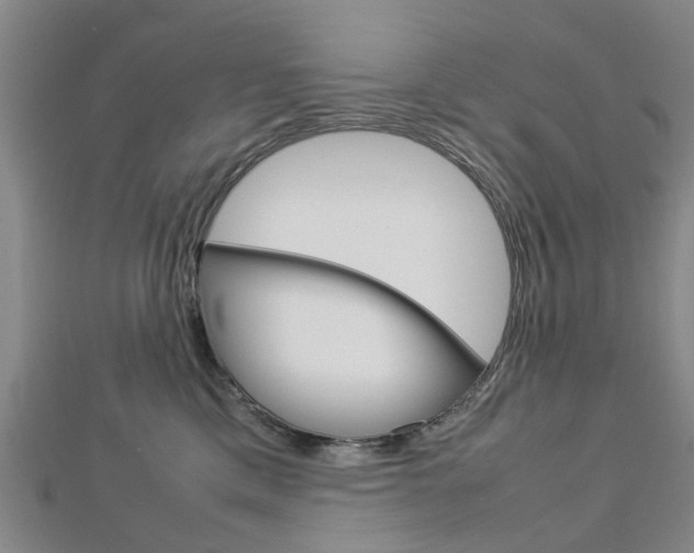 X0000112730425200908201017