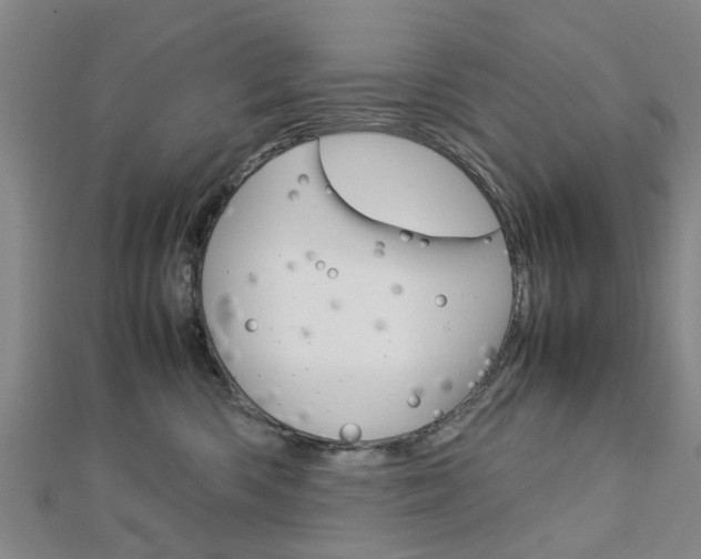 X0000112730426200908201017