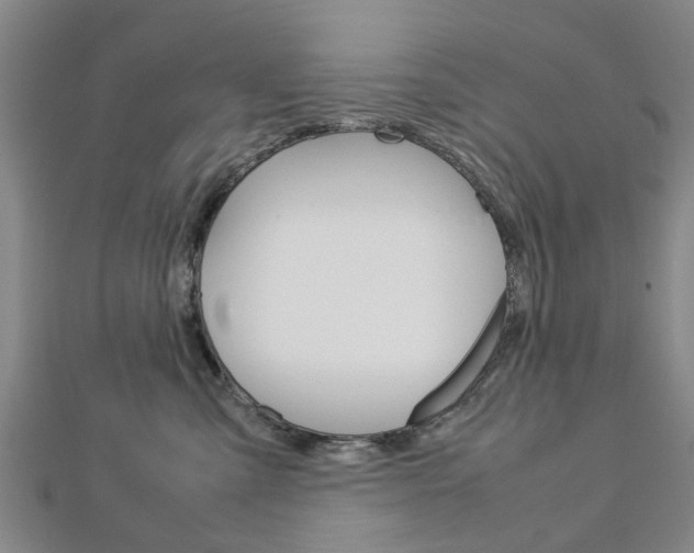 X0000112730427200908201017