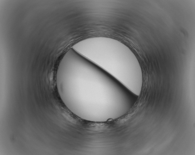 X0000112730428200908201017