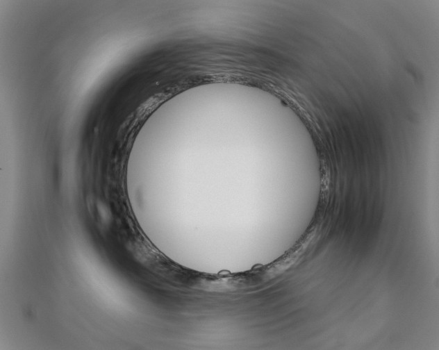 X0000112730430200908201017