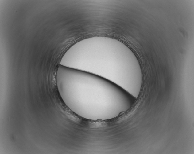 X0000112730432200908201017
