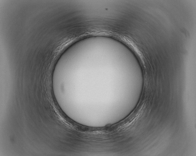 X0000112730433200908201016