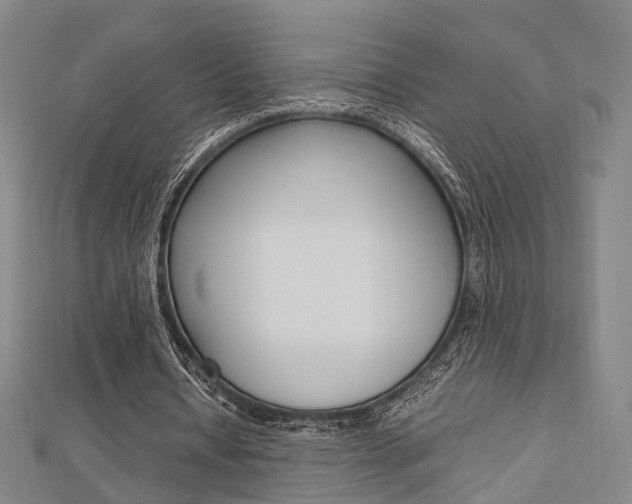 X0000112730434200908201016