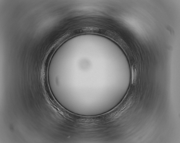 X0000112730435200908201016
