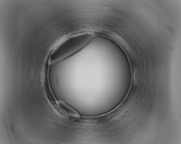 X0000112730436200908201016