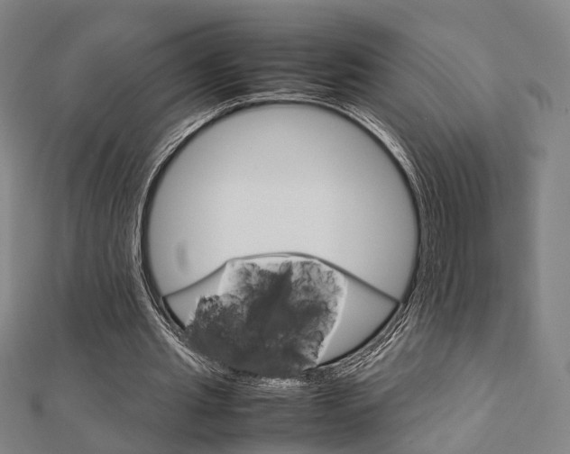 X0000112730437200908201016