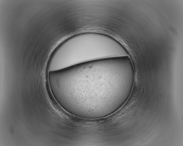 X0000112730438200908201016