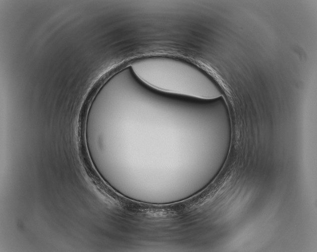X0000112730439200908201016