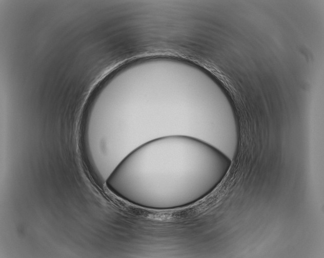 X0000112730440200908201016