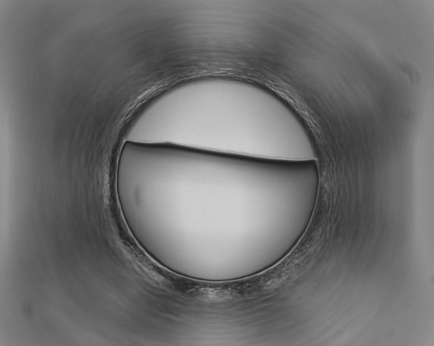 X0000112730442200908201017