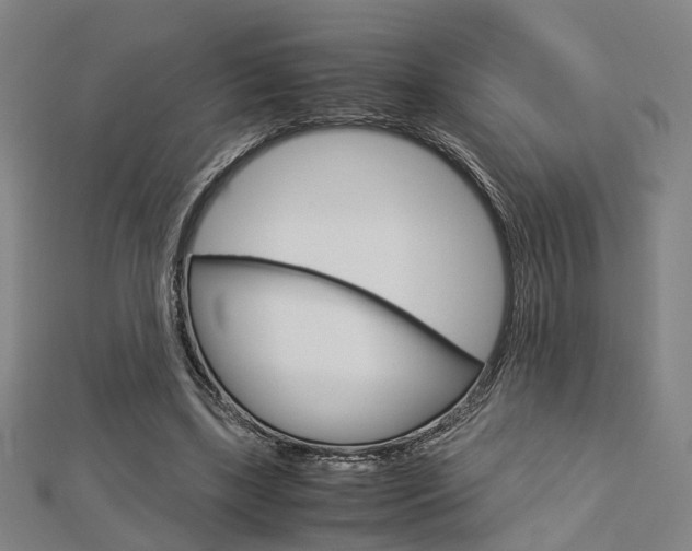 X0000112730443200908201017
