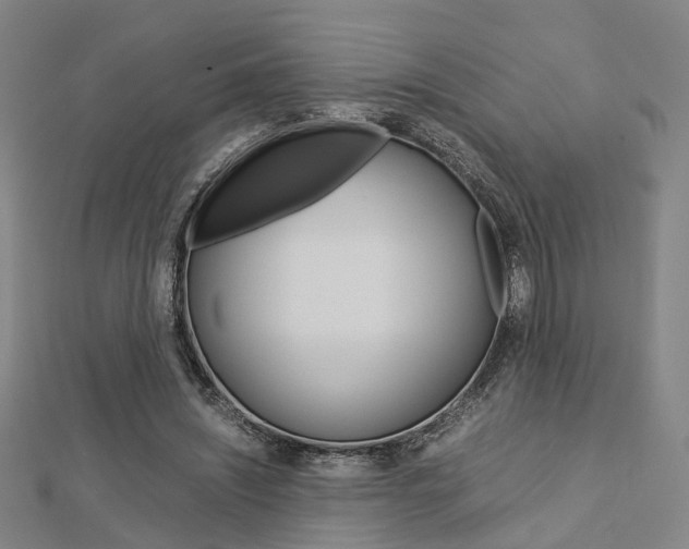 X0000112730444200908201017