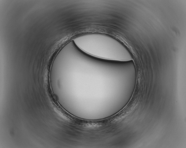 X0000112730445200908201017