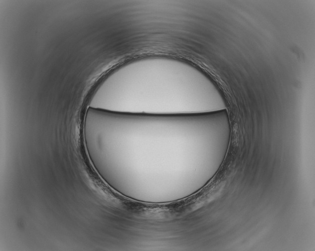 X0000112730446200908201017