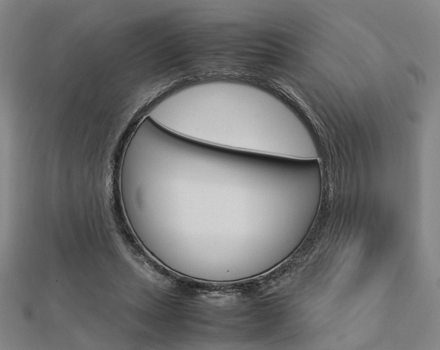 X0000112730447200908201017