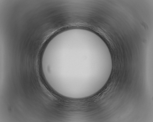 X0000112730448200908201017