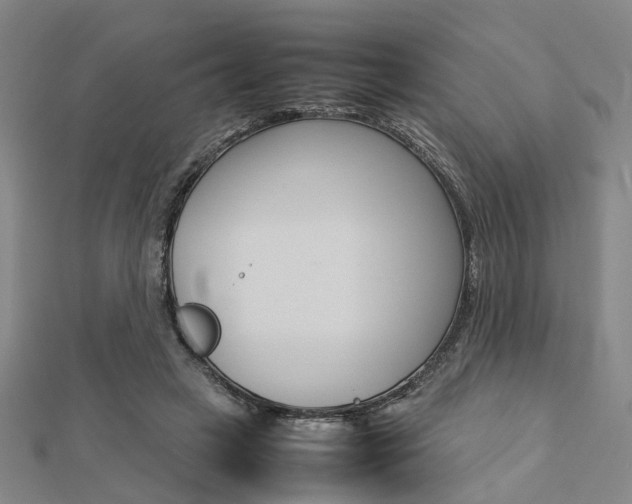X0000112730449200908201017