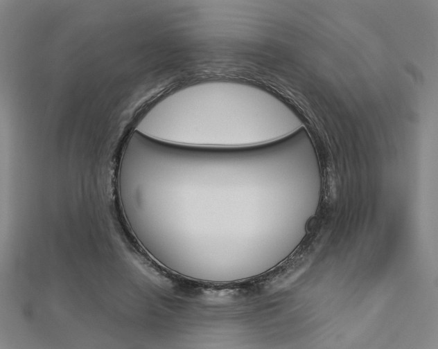 X0000112730450200908201017