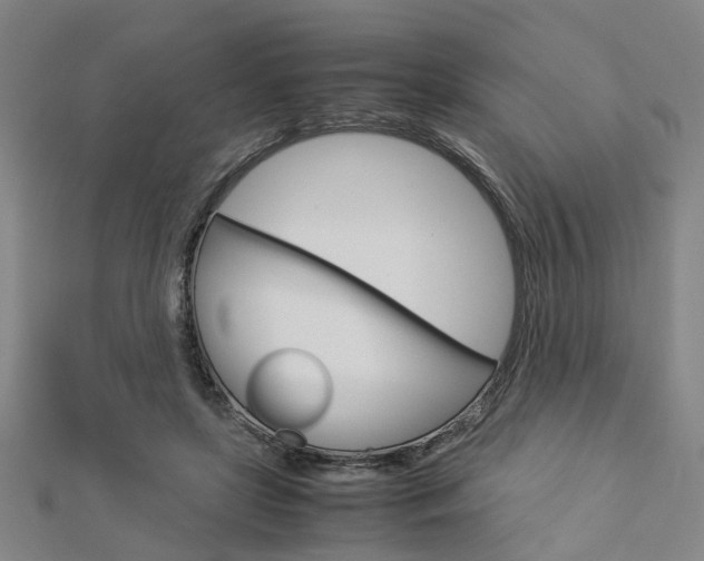 X0000112730451200908201017