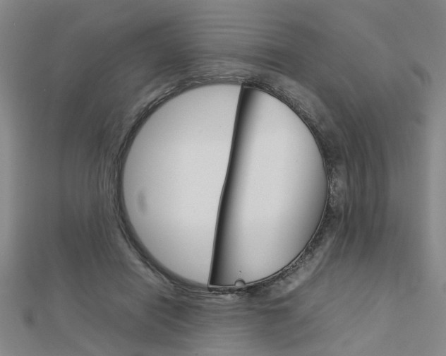 X0000112730454200908201017