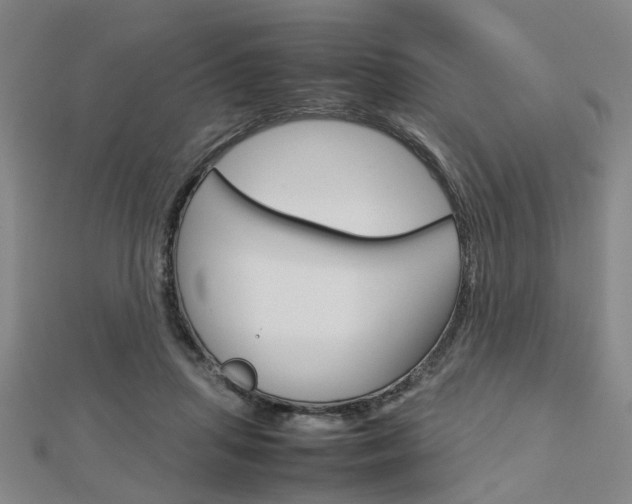 X0000112730455200908201017