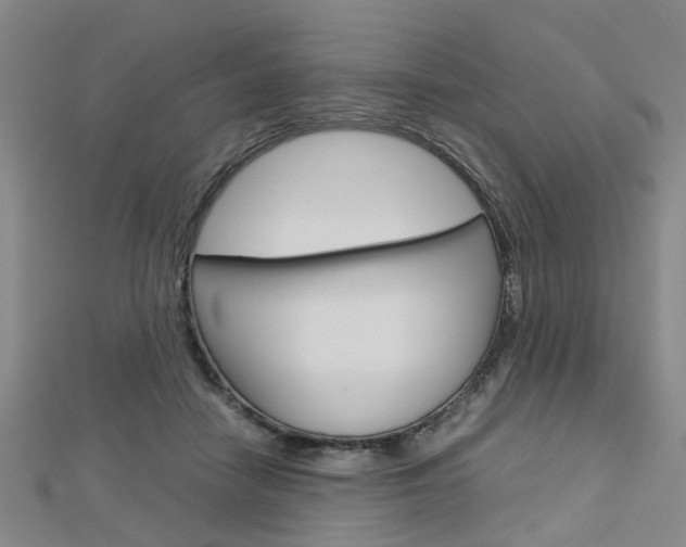 X0000112730458200908201017