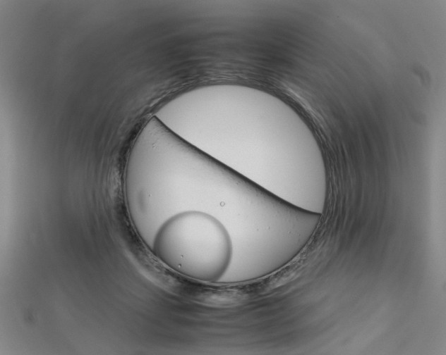 X0000112730459200908201017