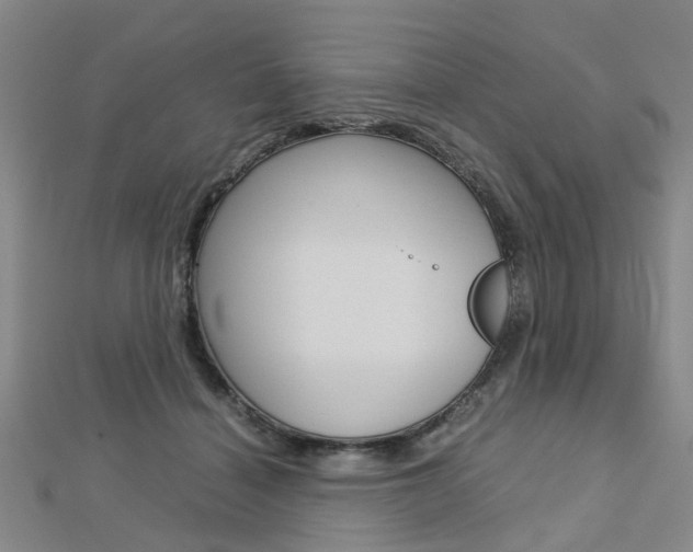 X0000112730460200908201017