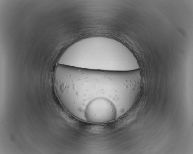 X0000112730462200908201017