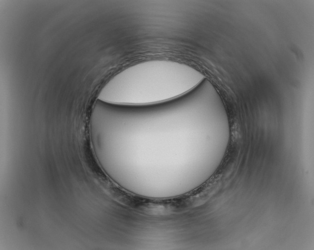 X0000112730464200908201017