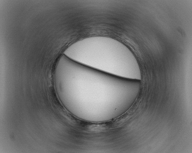 X0000112730465200908201017