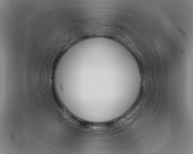 X0000112730466200908201017