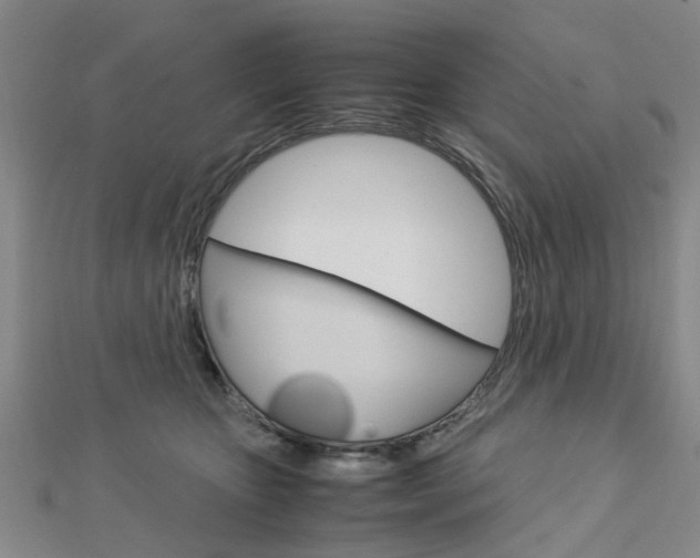 X0000112730467200908201017