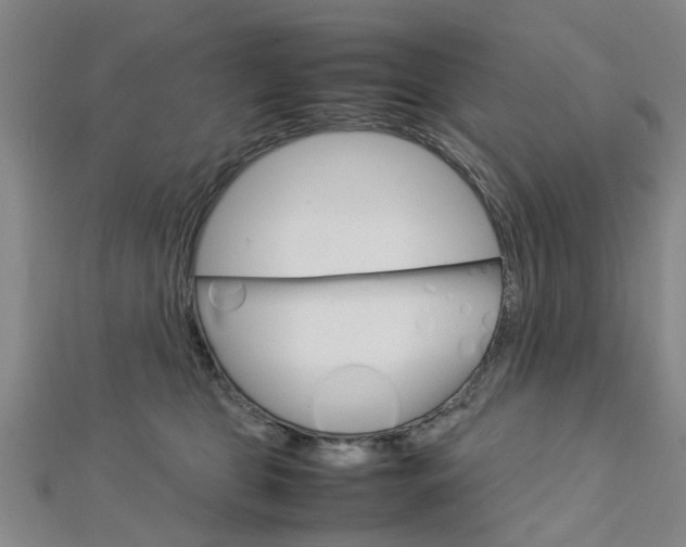X0000112730469200908201017