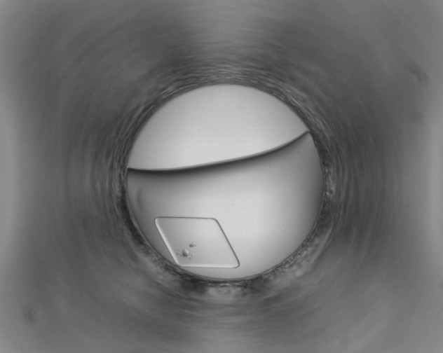 X0000112730470200908201017