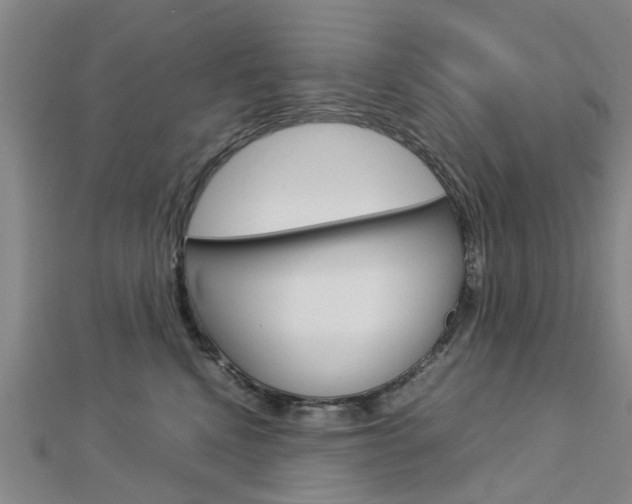 X0000112730472200908201017
