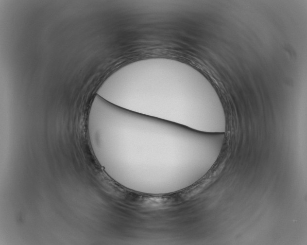X0000112730473200908201017