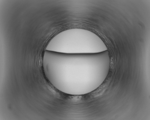 X0000112730474200908201017