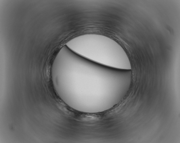 X0000112730475200908201017