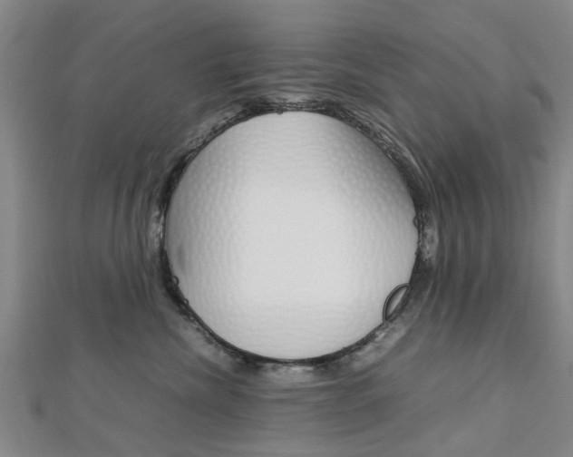 X0000112730476200908201017